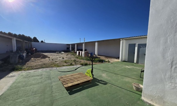 Sale - Commercial -
SAX