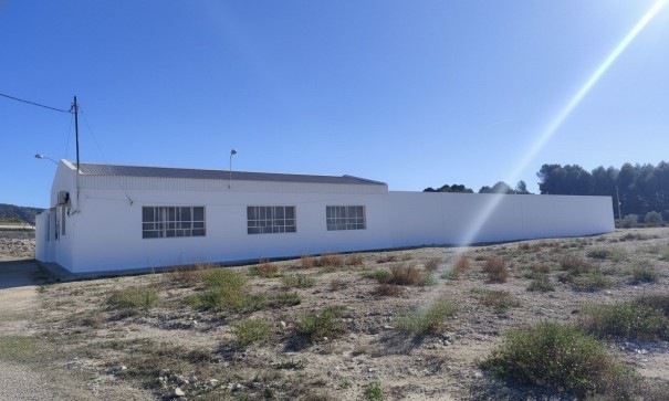 Sale - Commercial -
SAX