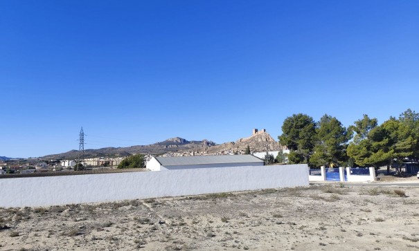 Sale - Commercial -
SAX