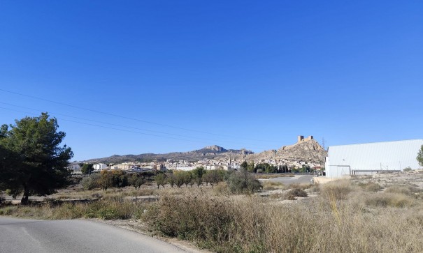 Sale - Commercial -
SAX