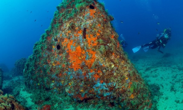 Nouvelle construction - Apartement Flat -
Águilas - Isla del fraile