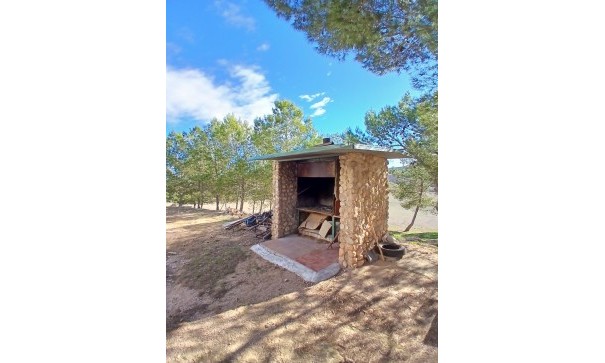 Sprzedaż - Finca nieruchomość wiejska -
Caudete