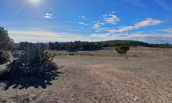 Sprzedaż - Finca nieruchomość wiejska -
Caudete