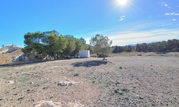 Sprzedaż - Finca nieruchomość wiejska -
Caudete