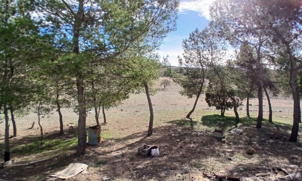 Sprzedaż - Finca nieruchomość wiejska -
Caudete