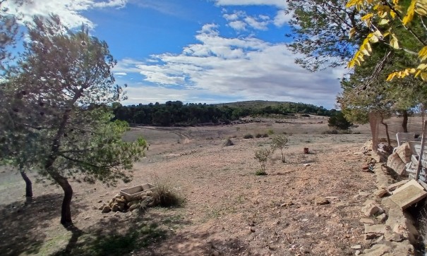 Sprzedaż - Finca nieruchomość wiejska -
Caudete