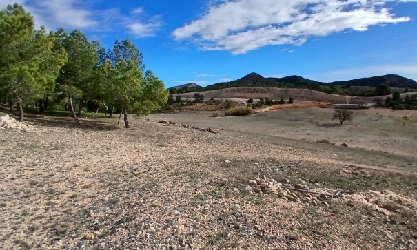 Sprzedaż - Finca nieruchomość wiejska -
Caudete