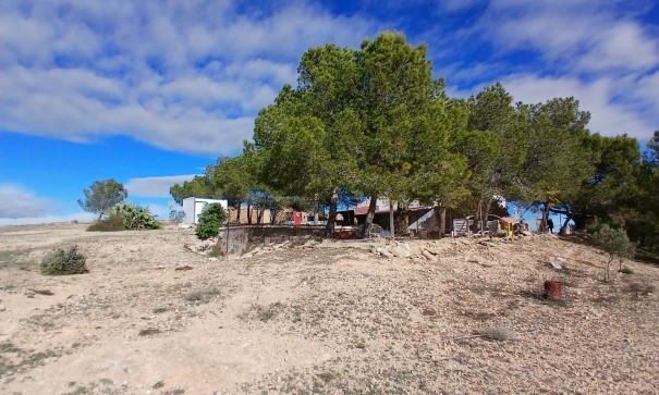 Sprzedaż - Finca nieruchomość wiejska -
Caudete