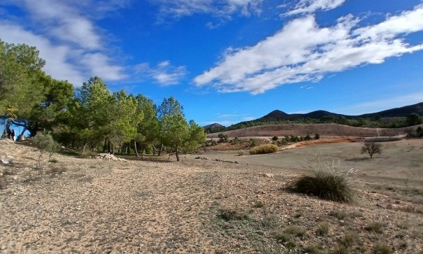 Sprzedaż - Finca nieruchomość wiejska -
Caudete