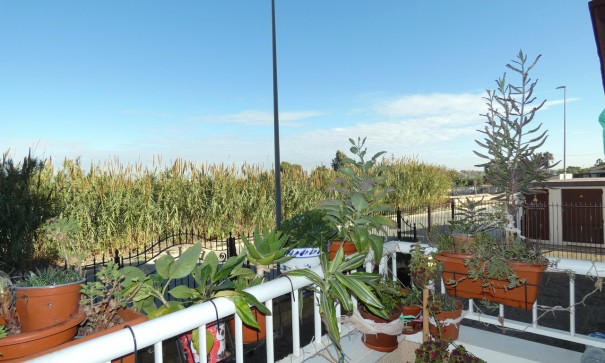 Videresalg - Lejlighed lejlighed -
Algorfa