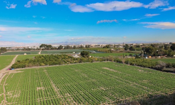 Videresalg - Lejlighed lejlighed -
Algorfa