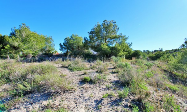 Resale - Grundstück Grundstück -
San Miguel de Salinas