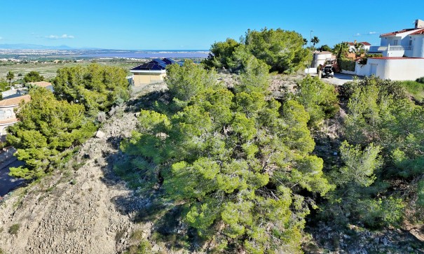 Resale - Grundstück Grundstück -
San Miguel de Salinas