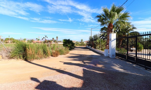 Herverkoop - Finca Landelijk pand -
Catral - Catral - Country