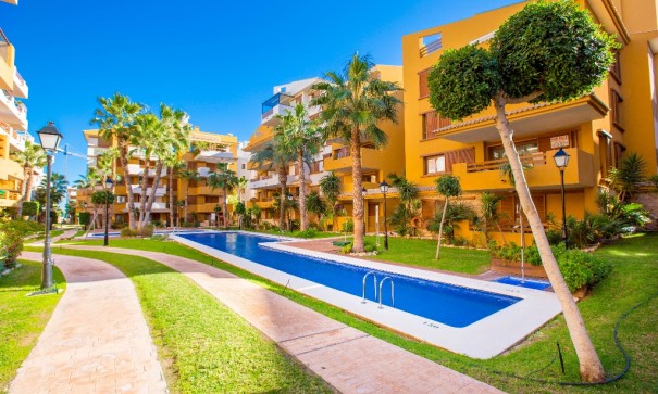 Short time rental - Wohnung Appartement -
Punta Prima - La Recoleta