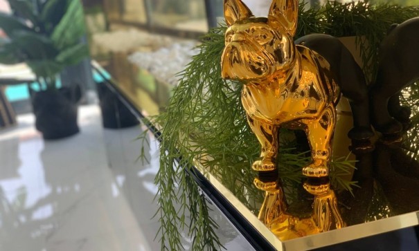 New Build - Detached Villa -
Torrevieja