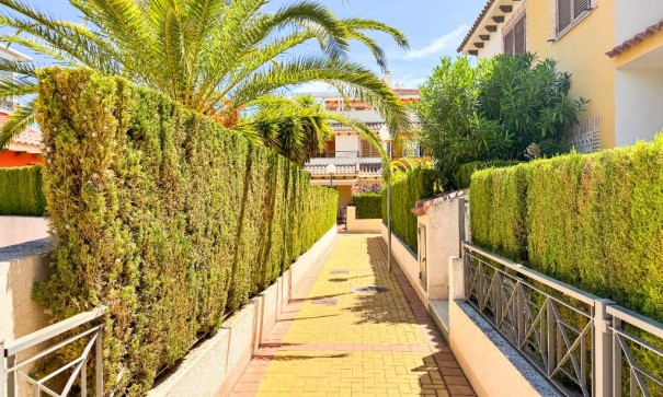 Short time rental - Wohnung Appartement -
Playa Flamenca - Zeniamar