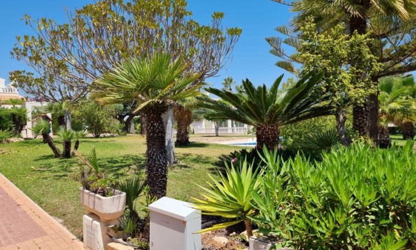 Revente - Appartement -
Torrevieja - Los Balcones