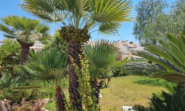 Revente - Appartement -
Torrevieja - Los Balcones