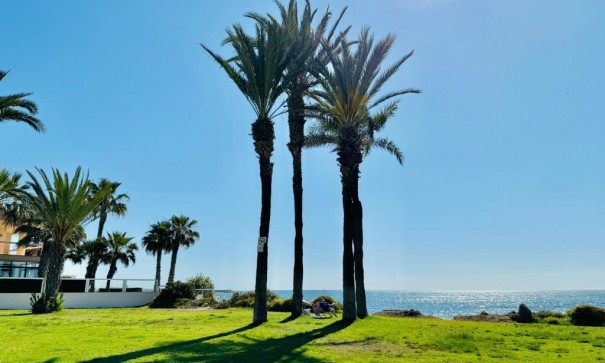 Revente - Appartement -
Torrevieja - La veleta