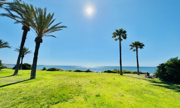 Revente - Appartement -
Torrevieja - La veleta