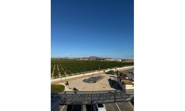 Venta - Apartamento piso -
Torrevieja - Lago jardin