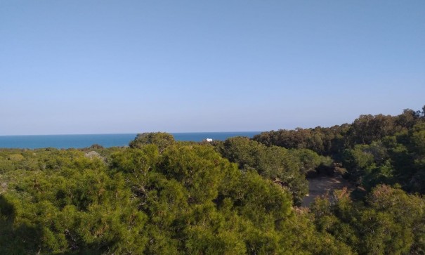 Nouvelle construction - Apartement Flat -
Guardamar del Segura - Pueblo