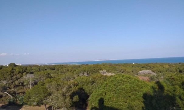 Nowa konstrukcja - Apartament mieszkanie -
Guardamar del Segura - Pueblo