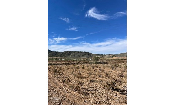 Videresalg - Finca landejendom -
Cañada de la Leña - Canada de la Lena Murcia