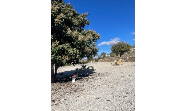 Sprzedaż - Finca nieruchomość wiejska -
Ca&ntilde;ada del Trigo - Ca&ntilde;ada del Trigo Murcia