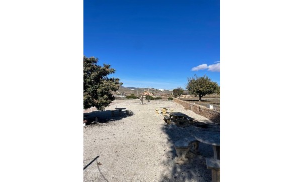 Sprzedaż - Finca nieruchomość wiejska -
Ca&ntilde;ada del Trigo - Ca&ntilde;ada del Trigo Murcia