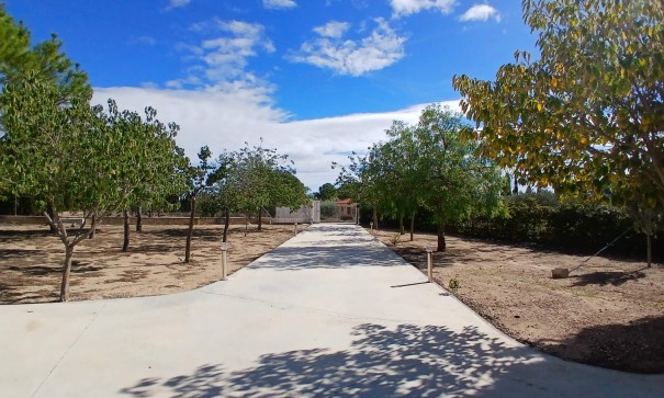 Revente - Villa Individuelle -
Yecla