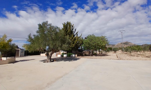 Revente - Villa Individuelle -
Yecla