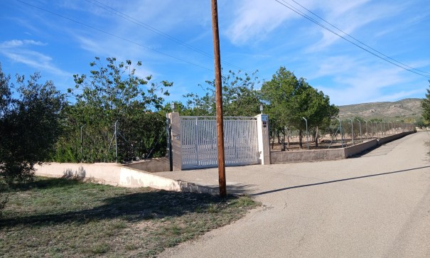 Revente - Villa Individuelle -
Yecla