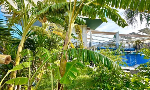 Sprzedaż - Apartament mieszkanie -
Finestrat