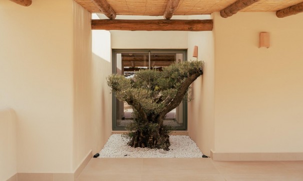 Nybyggeri - Fritliggende villa -
Jávea - Valle del Sol