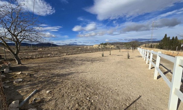 Revente - Villa Individuelle -
Monóvar