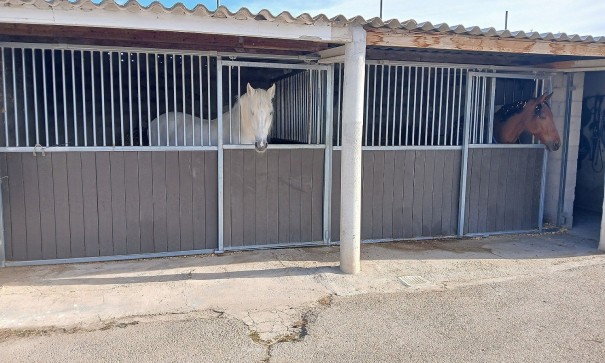 Revente - Villa Individuelle -
Monóvar
