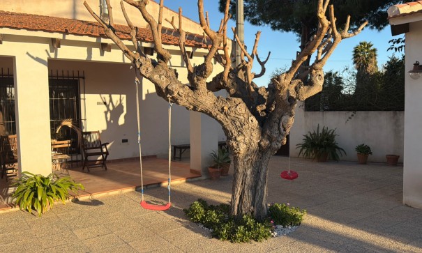 Sprzedaż - Willa w zabudowie bliźniaczej -
Dolores