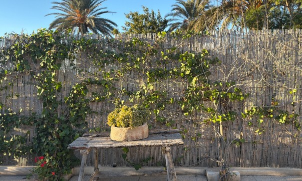 Sprzedaż - Willa w zabudowie bliźniaczej -
Dolores