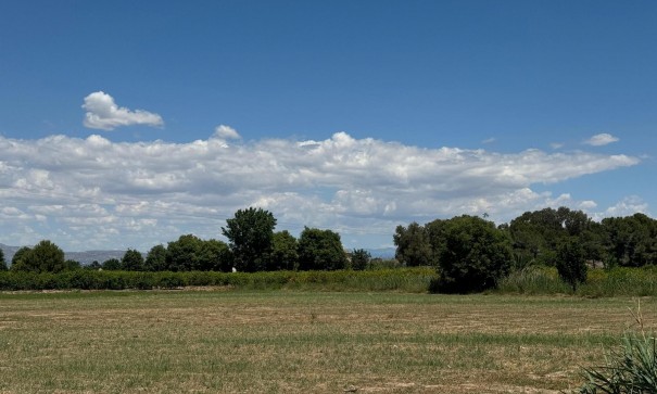 Sale - Apartment Flat -
Almoradí