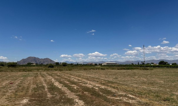 Sale - Apartment Flat -
Almoradí