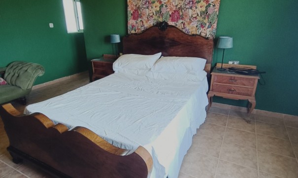 Sprzedaż - Nieruchomość jeździecka -
Monóvar