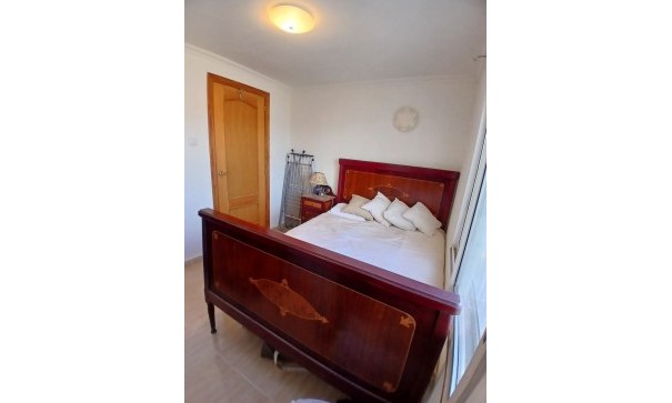 Sprzedaż - Nieruchomość jeździecka -
Monóvar