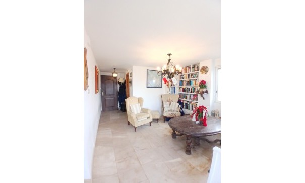 Sprzedaż - Nieruchomość jeździecka -
Monóvar