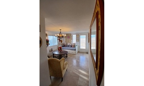 Sprzedaż - Nieruchomość jeździecka -
Monóvar