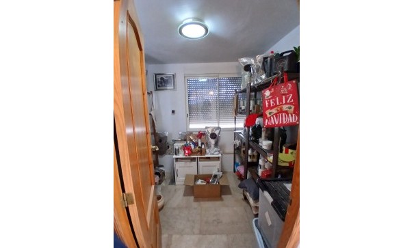 Sprzedaż - Nieruchomość jeździecka -
Monóvar