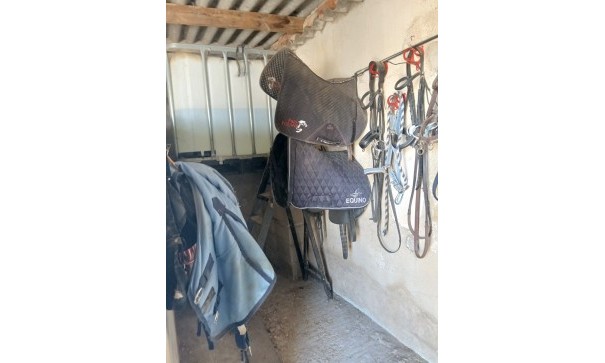 Sprzedaż - Nieruchomość jeździecka -
Monóvar