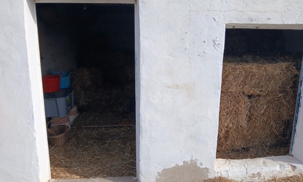 Sprzedaż - Nieruchomość jeździecka -
Monóvar