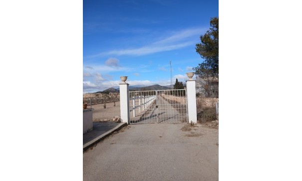 Sprzedaż - Nieruchomość jeździecka -
Monóvar